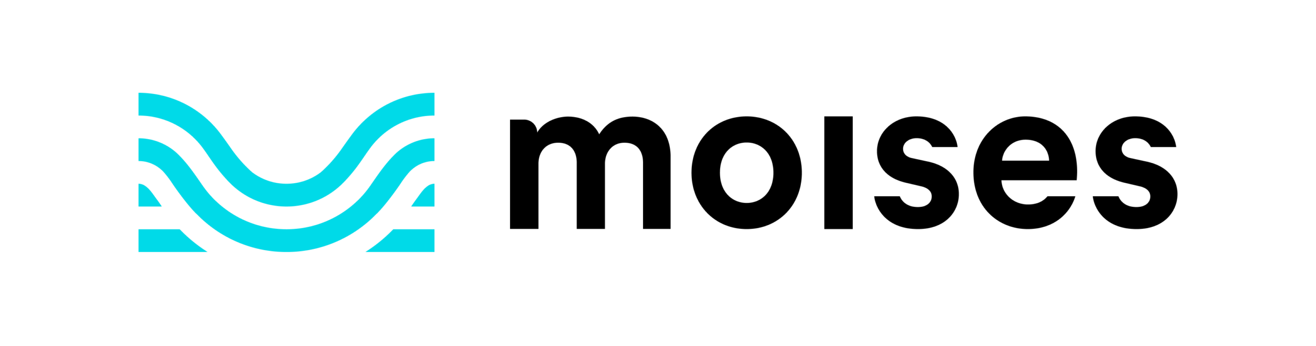 Moises-Primary-Logo-Black-scaled Partners